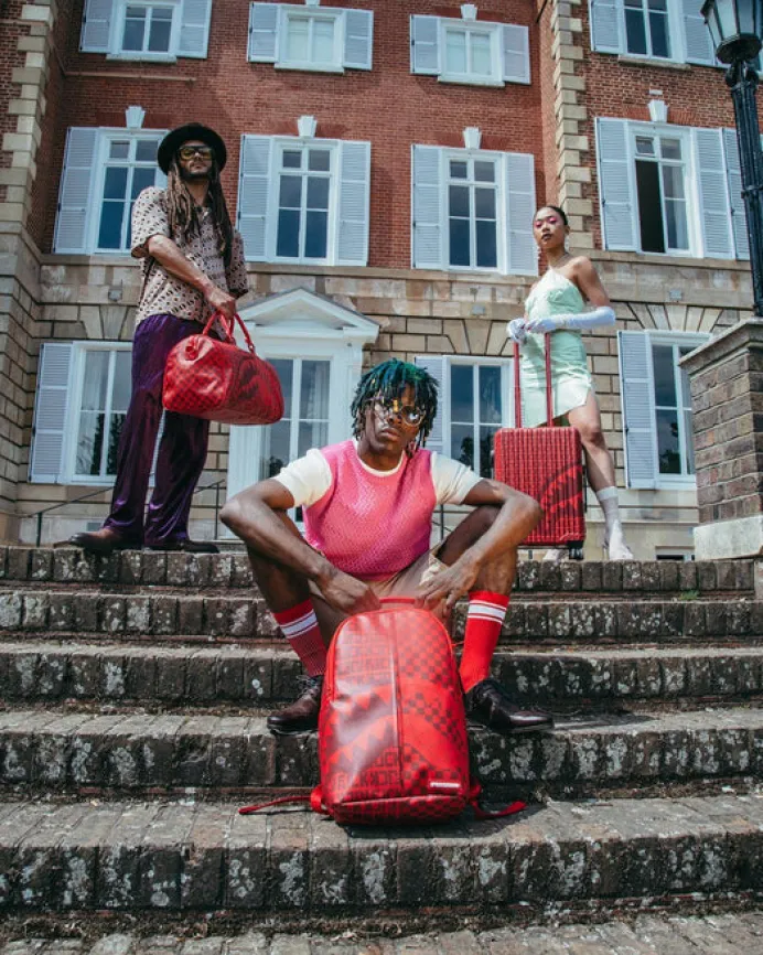 VENI VIDI VICI LUGGAGE