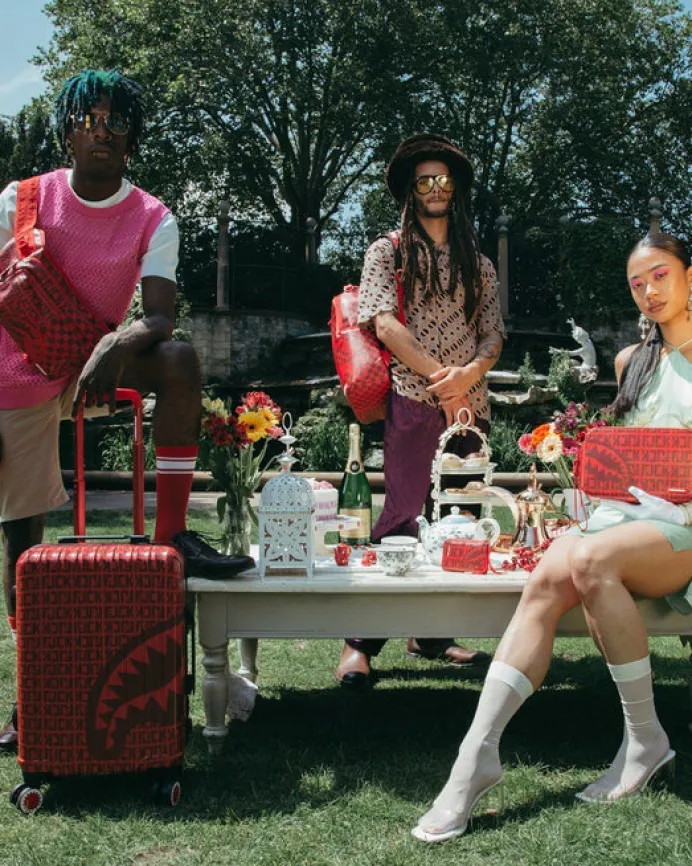 VENI VIDI VICI LUGGAGE