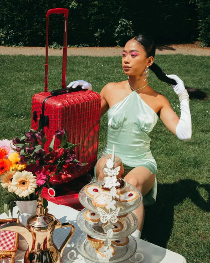 VENI VIDI VICI LUGGAGE